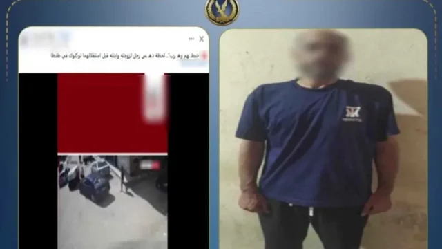 دهس زوجته وابنته بالغربية.. ضبط مهندس وحبسه 4 أيام