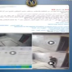 ضبط شخص اعتدى على كلب ضال في مدينة نصر