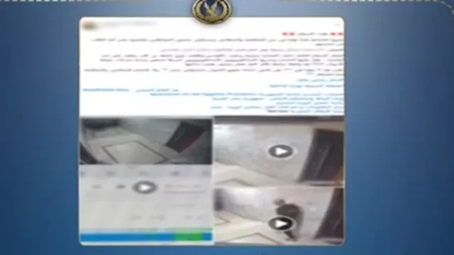 ضبط شخص اعتدى على كلب ضال في مدينة نصر