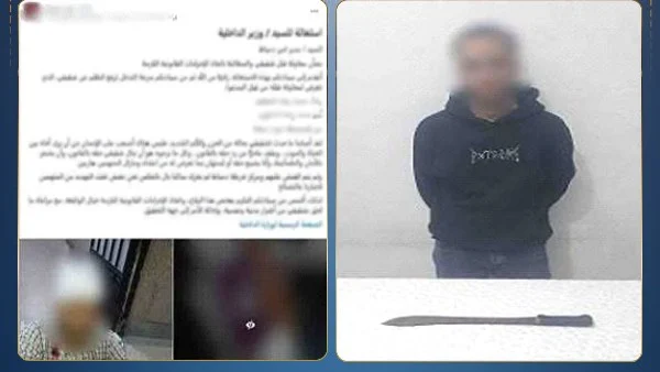 ضبط نجار تعدى على ميكانيكي بسلاح أبيض في دمياط