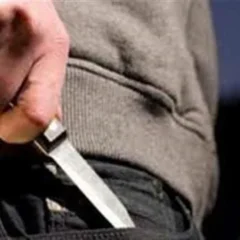 الداخلية تكشف ملابسات مشاجرة الدقهلية: خلافات جيرة وإصابة شخصين