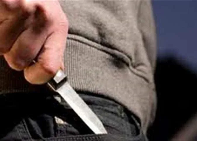 الداخلية تكشف ملابسات مشاجرة الدقهلية: خلافات جيرة وإصابة شخصين