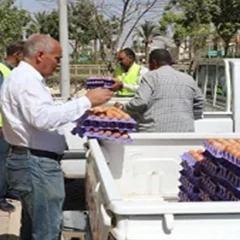 بيض المائدة بكفر الشيخ 120 جنيهًا وارتفاع 5 جنيهات