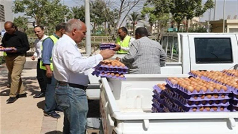 بيض المائدة بكفر الشيخ 120 جنيهًا وارتفاع 5 جنيهات
