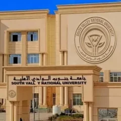راتب رئيس جامعة جنوب الوادي وفرص عمل بإسبانيا بـ1200 يورو