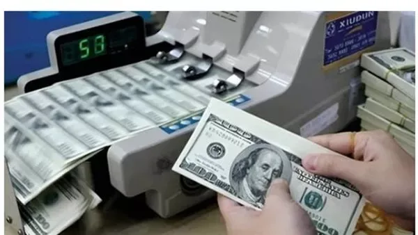 ضبط قضايا اتجار بالعملات بقيمة 91 مليون جنيه في أسبوع