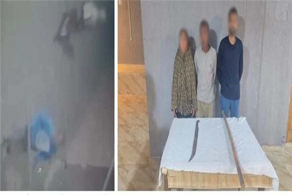 الداخلية تكشف ملابسات فيديو المنوفية: ضبط شخصين وسيدة